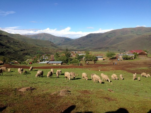 See you next time Ha Makopela!